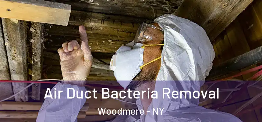  Air Duct Bacteria Removal Woodmere - NY