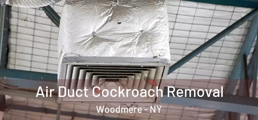  Air Duct Cockroach Removal Woodmere - NY
