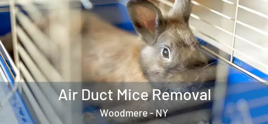 Air Duct Mice Removal Woodmere - NY