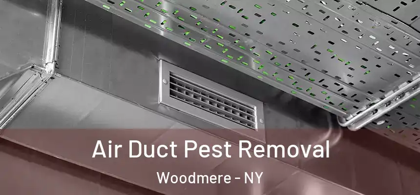  Air Duct Pest Removal Woodmere - NY