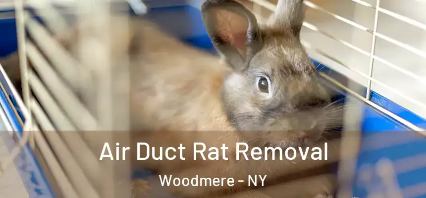 Air Duct Rat Removal Woodmere - NY