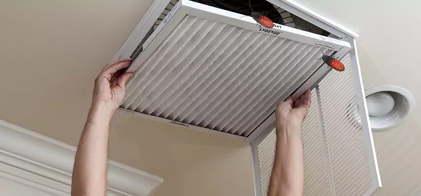 Our Insect Removal from Air Ducts Services in Woodmere, NY