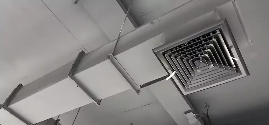 Our Rodent Droppings In Vents Services in Woodmere, NY