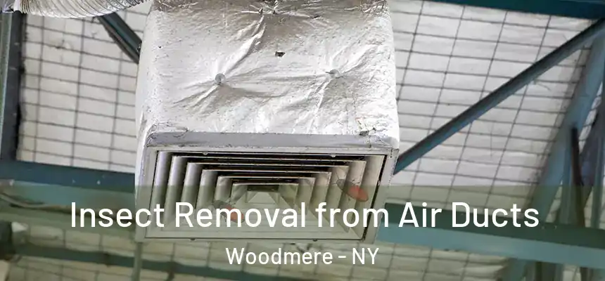Insect Removal from Air Ducts Woodmere - NY
