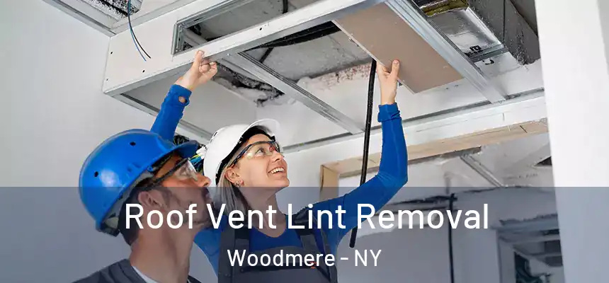  Roof Vent Lint Removal Woodmere - NY