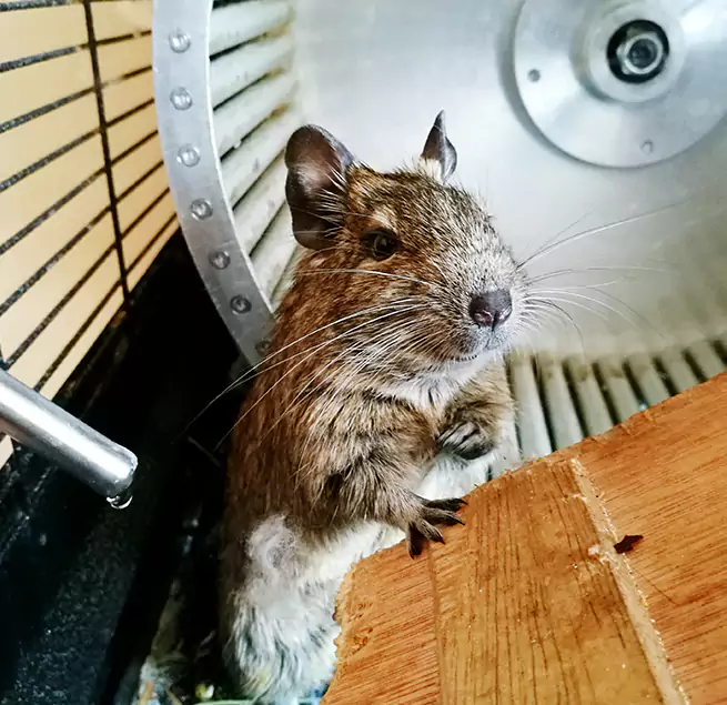 Why Homeowners & Businesses Trust Us Woodmere, NY